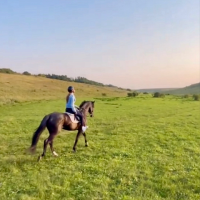 E-motion market - Конная прогулка Белгородская область