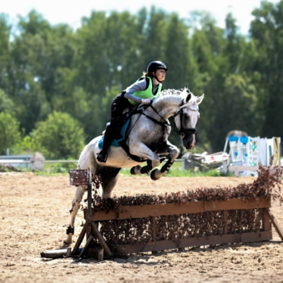 E-motion market - Аренда лошади для шаговых прогулок в лес и в поля с инструктором Курская область