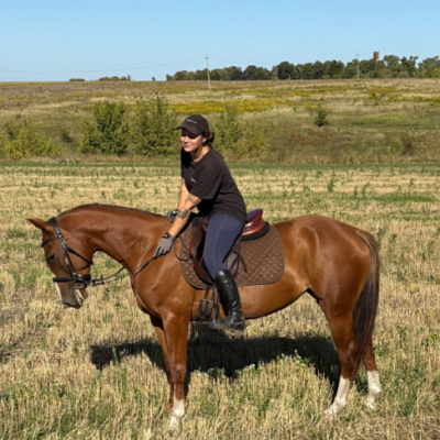 E-motion market - Конные прогулки Курская область