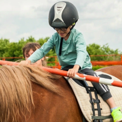 E-motion market - Иппотерапия Орловская область