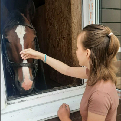 E-motion market - Экскурсии верхом на лошади Белгородская область